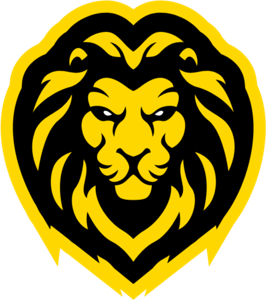 Varenyam Placements logo